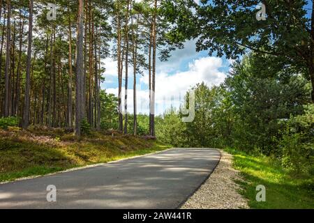 Bike cycle way through the forest along the Brombachsee Stock Photo