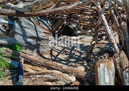 Close up of a pile of driftwood along the beach at Siletz Bay Park in Lincoln City, on the Oregon Coast. Stock Photo