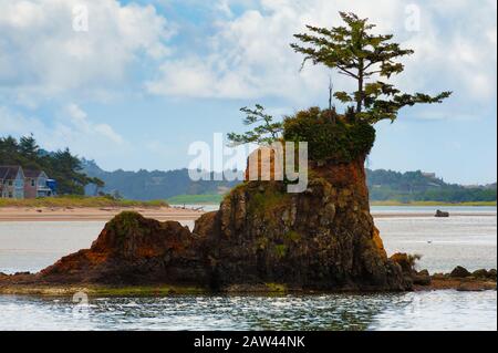 Intertidal rocks in Siletz Bay in Lincoln City, on the Oregon Coast Stock Photo