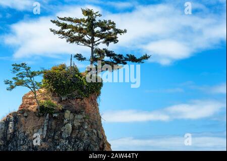 Intertidal rocks in Siletz Bay in Lincoln City, on the Oregon Coast Stock Photo