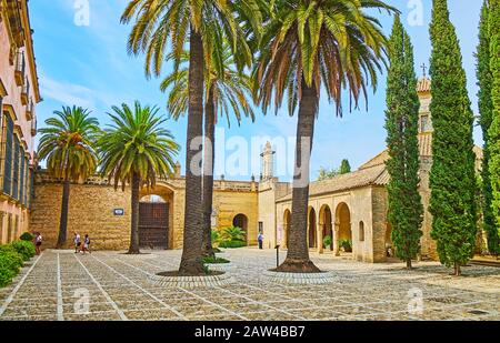 JEREZ, SPAIN - SEPTEMBER 20, 2019: The tall palm trees amid the stone Patio de Armas (Parade grounds) of Alcazar fortress, on September 20 in Jerez Stock Photo