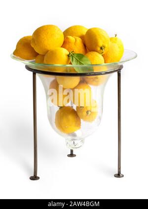 lemons in a glass vase on a white background Stock Photo