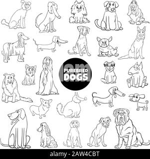 Black and White Cartoon Illustration of Purebred Dogs Animal Characters Large Set Coloring Book Page Stock Vector