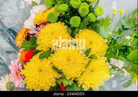Bouquet of large yellow chrysanthemums on the shelf in the store Stock Photo