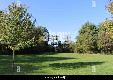 a forest grassland with fire watch tower Stock Photo