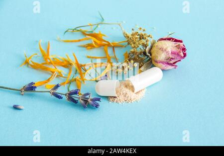 Side view of single white color gel capsule opened, yellow powder spilled out, on light blue background with various dry herbs scattered. Pharmaceutic Stock Photo