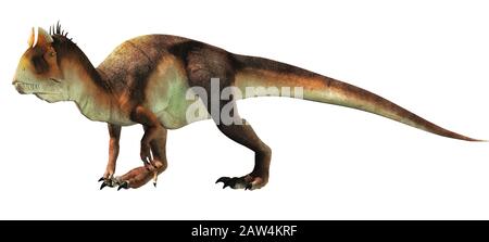 Cryolophosaurus was a carnivorous theropod dinosaur, known for a distinctive crest, it lived during the Jurassic in Antarctica. On a white background. Stock Photo