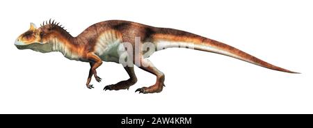 Cryolophosaurus was a carnivorous theropod dinosaur, known for a distinctive crest, it lived during the Jurassic in Antarctica. On a white background. Stock Photo
