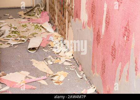 Removing old retro style wallpaper from concrete wall. Home renovation concept. Stock Photo