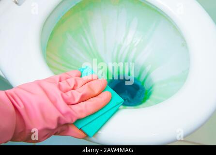 Disinfection of toilet, using colorful antibacterial liquids and cleaning tools. Close up view. Stock Photo