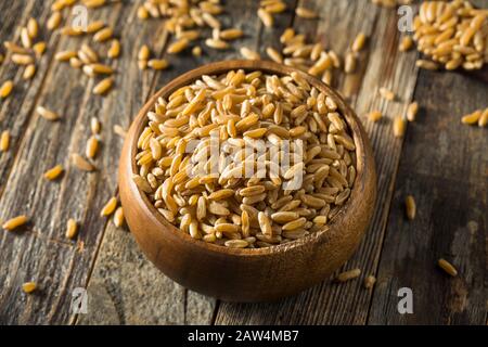 Dry Brown Organic Khorasan Wheat in a Bowl Stock Photo