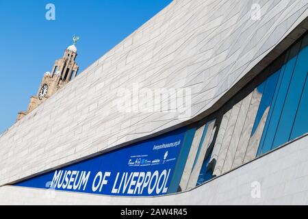 Liver bird on top of the Royal Liver Buildin in Liverpool behind zig zags on the facade of the Musuem of Liverpool seen in February 2020. Stock Photo