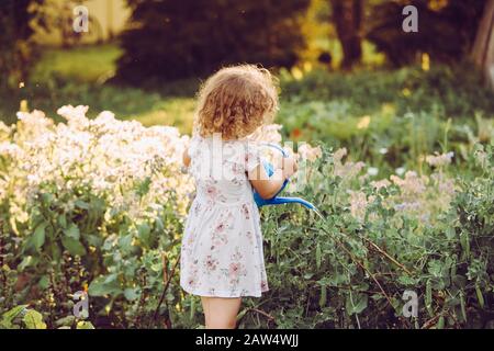 5 year old girl child watering pea plants in small organic garden on sunny evening. Sustainable lifestyle concept. Stock Photo