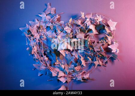 Creative fluorescent color layout made of tropical leaves. Flat lay, neon colors. Nature concept. Stock Photo