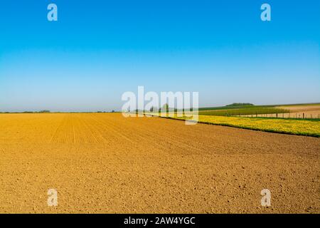 Spring landscape with fields, orchards and roads in Haspengouw region, Limburg, Belgium in sunny day Stock Photo