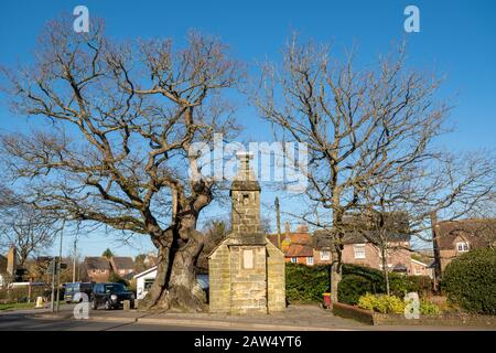 Lingfield village in East Surrey, UK. The Cage, a village lock-up, last used in 1882 to hold a poacher, was built in 1773. Stock Photo