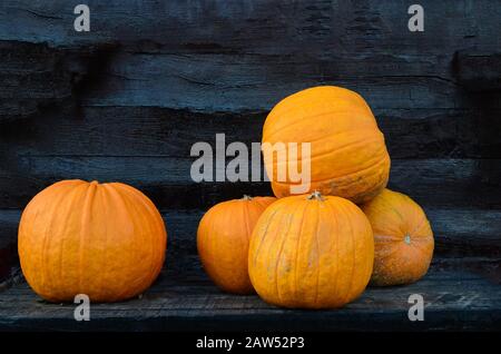 A few big pumpkins on wooden shelf against black wooden background Stock Photo