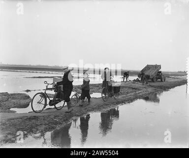 Ouwerkerk freed from isolation after 19 months. The family of Oeveren on the way home in Ouwerkerk on for some days dried up and Molenweg not released of Stenendijk (Zierikzee) to Ouwerkerk runs Date: December 21, 1953 Location: Ouwerkerk, Zeeland Keywords: families, flooding, flood Person Name: Oeveren of Stock Photo