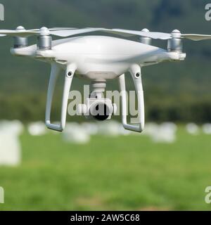 Quadcopter DJI Phantom 4 Pro drone flying, monitoring and filming using camera 4K over green farm field on sunny day Stock Photo
