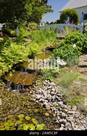 White wooden footbridge over a small man-made stream with cascading waterfalls bordered by perennial plants in backyard rustic garden in late spring Stock Photo