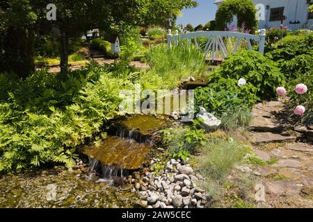 White wooden footbridge over a small man-made stream with cascading waterfalls bordered by perennial plants in backyard rustic garden in late spring Stock Photo