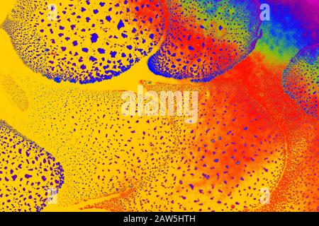 Oil bubbles inside water base form patterns Stock Photo