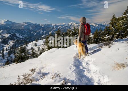 Female Hiker and Dog Looking Into Distance In Snowy Mountain Scene Stock Photo