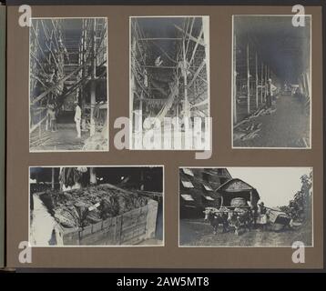 Photo album Deli Company: A tobacco company in Sumatra  Coolies and a native supervisor working in a dry barn (above); dried tobacco leaves are placed in a coffin (lo); transport of the drying shed into the fermenter barn with a karbouwenkar; coolies carrying a coffin with dried tobacco leaves (ro) Date: 1920 Location: Deli, Dutch East Indies, Sumatra Keywords: workers, drying, buffaloes, carts, barns, tobacco, tobacco plantations Stock Photo