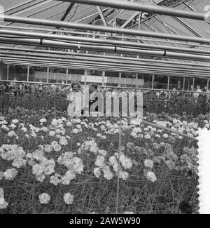 Floriade 1960  Queen Juliana in a greenhouse Date: July 20, 1960 Location: Rotterdam, South Holland Keywords: greenhouses, queens Person Name: Juliana, queen Institution Name: Floriade Stock Photo