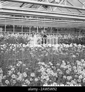 Floriade 1960  Queen Juliana in a greenhouse Date: July 20, 1960 Location: Rotterdam, South Holland Keywords: greenhouses, queens Person Name: Juliana, queen Institution Name: Floriade Stock Photo