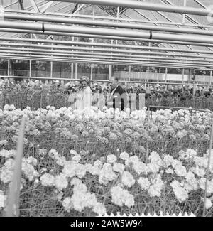 Floriade 1960  Queen Juliana in a greenhouse Date: July 20, 1960 Location: Rotterdam, South Holland Keywords: greenhouses, queens Person Name: Juliana, queen Institution Name: Floriade Stock Photo