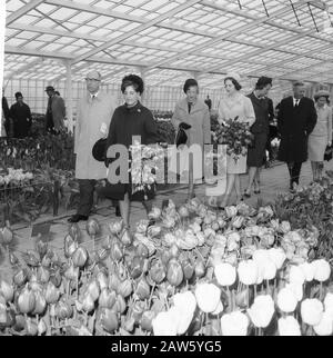 Princess Benedikte and Princess Margriet been visited Keukenhof in Lisse, during tour Date: April 8, 1965 Location: Lisse Keywords: visit, tours Person Name: Benedikte, princess of Denmark, Margriet, princess Stock Photo