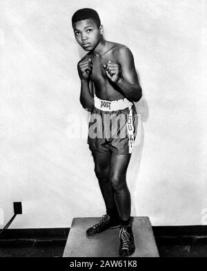 1954 ca , Louisville , Kentucky , USA : The future Olympic Champion boxer Muhammad Ali ( 1942 - 2016 ) born Cassius Marcellus CLAY Jr. - Alì - CASSIUS Stock Photo