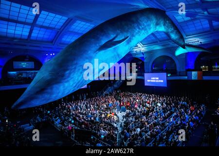 New York, USA,  6 Feb 2020.  New York City  Mayor Bill De Blasio delivers his 2020 State of the City Address at the Milstein Hall of Ocean Life in the American Museum of Natural History.  A 94-foot long model of a blue whale hanging from the ceiling is one of the museum's most celebrated displays. Credit: Enrique Shore/Alamy Live News Stock Photo