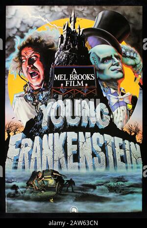 1974 , USA : The advertising poster for the movie YOUNG FRANKENSTEIN  ( FRANKENSTEIN JUNIOR ) by Mel Brooks  , with Gene Wilder , Peter Boyle , Marty Stock Photo