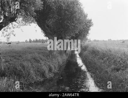 line 52 old state Date: undated Location: Opijnen Keywords: digging and filling in trenches, normalization of streams Stock Photo