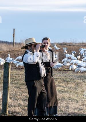 Lancaster County, Pennsylvania, USA: February 3, 2020:  Amish couple looking at snow geese at nature reserve. Stock Photo