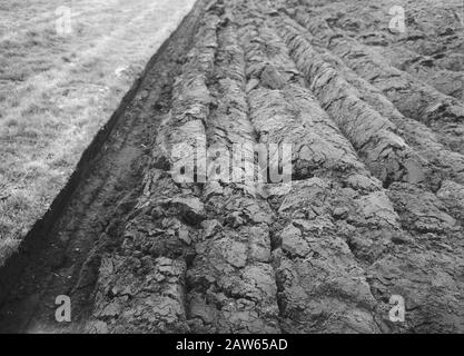 mining, soil, leveling, sanding, plowing Date: April 1957 Location: Borger, Drenthe Keywords: sanding, leveling, tillage, cultivation, plowing Stock Photo