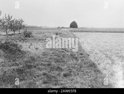 mining, soil, leveling, sanding, land consolidation Date: May 1959 Location: Limburg, Wanssum Keywords: sanding, leveling, tillage, cultivation, land consolidation Stock Photo