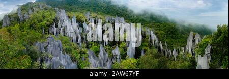 Pinnacles in Mulu national parc in Malaysia Stock Photo