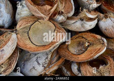 Pile of empty coconut husks Stock Photo