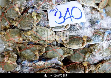 Thai Sea Flower Crabs, fresh caught whole raw Sea Flower crabs for sale in a street market in Bangkok, Thailand Stock Photo