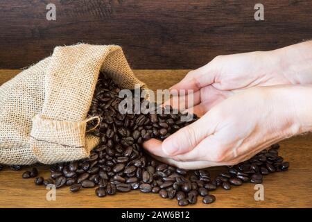 Hands hold Coffee Beans in bag on wooden background. Stock Photo