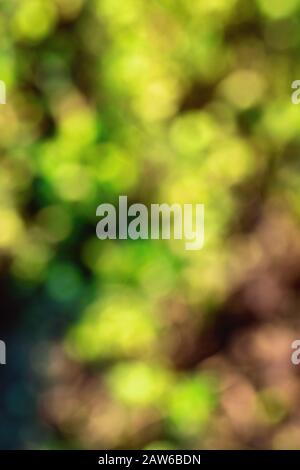 Intentional colorful blur created with a macro camera lens, useful for digital background bokeh Stock Photo