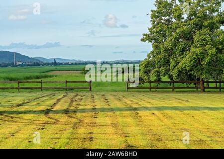 Freshly mowed lawn with late afternoon light casting shadows, with large trees and overgrown paddock in the background, a sugar mill on the horizon Stock Photo