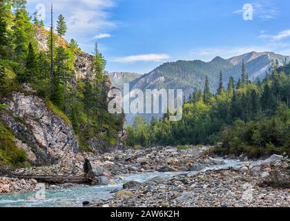 Pebbles in bed of mountain stream. A narrow valley is sandwiched between the cliffs and slopes of the mountains. Dark coniferous taiga of Eastern Sibe Stock Photo