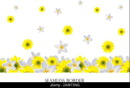 Seamless floral border with colorful wildflowers. Vector horizontal drawing on a white background. Illustration by hand.. Stock Vector