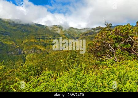 The magnificent inland of the island of Madeira Stock Photo