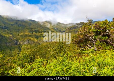 The magnificent inland of the island of Madeira Stock Photo