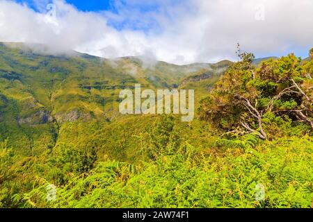 The magnificent inland of the island of Madeira Stock Photo